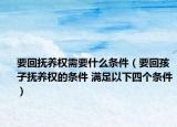 要回抚养权需要什么条件（要回孩子抚养权的条件 满足以下四个条件）