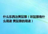 什么东西治黄鼠狼（坏鼠狼有什么用途 黄鼠狼的用途）