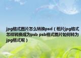 jpg格式图片怎么转换psd（相片jpg格式怎样转换成为psb psb格式图片如何转为jpg格式呢）