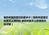 猫和老鼠的激活码是多少（猫和老鼠激活码是怎么得到的 猫和老鼠怎么获得激活码详解）