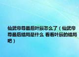 仙武帝尊最后叶辰怎么了（仙武帝尊最后结局是什么 看看叶辰的结局吧）