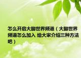 怎么开启大脚世界频道（大脚世界频道怎么加入 给大家介绍三种方法吧）