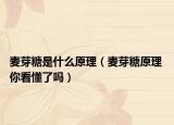 麦芽糖是什么原理（麦芽糖原理 你看懂了吗）