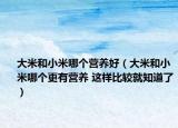 大米和小米哪个营养好（大米和小米哪个更有营养 这样比较就知道了）