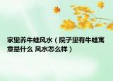 家里养牛蛙风水（院子里有牛蛙寓意是什么 风水怎么样）