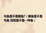 乌鱼是不是黑鱼?（黑鱼是不是乌鱼 到底是不是一种鱼）