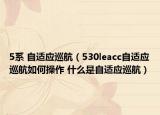 5系 自适应巡航（530leacc自适应巡航如何操作 什么是自适应巡航）