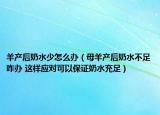 羊产后奶水少怎么办（母羊产后奶水不足咋办 这样应对可以保证奶水充足）