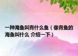一种海鱼叫青什么鱼（像青鱼的海鱼叫什么 介绍一下）