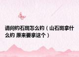 请问钓石斑怎么钓（山石斑拿什么钓 原来要拿这个）