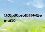 华为p30pro如何升级emui10