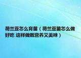 荷兰豆怎么育苗（荷兰豆苗怎么做好吃 这样做既营养又美味）