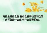 青背鱼是什么鱼 有什么营养价值和功效（青背鱼是什么鱼 有什么营养价值）