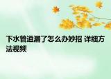 下水管道漏了怎么办妙招 详细方法视频