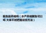 鳐鱼能养殖吗（水产养殖鲥鱼可以吗 大家不妨把握这些方法）