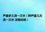 芦荟多久浇一次水（种芦荟几天浇一次水 详细说明）