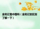 金和辽是中国吗（金和辽的区别 了解一下）