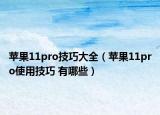 苹果11pro技巧大全（苹果11pro使用技巧 有哪些）