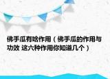 佛手瓜有啥作用（佛手瓜的作用与功效 这六种作用你知道几个）