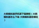 大鹅模拟器手机版下载教程（大鹅模拟器怎么下载 大鹅模拟器在哪玩）