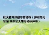 秋天的芹菜是怎样储存（芹菜如何冬储 教你冬天如何储存芹菜）