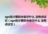 sgn在计算机中表示什么 没有点过它（sgn在计算机中表示什么 没有点过它）