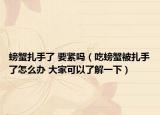 螃蟹扎手了 要紧吗（吃螃蟹被扎手了怎么办 大家可以了解一下）