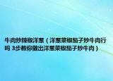 牛肉炒辣椒洋葱（洋葱菜椒茄孑炒牛肉行吗 3步教你做出洋葱菜椒茄孑炒牛肉）