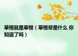 草根就是草根（草根帮是什么 你知道了吗）