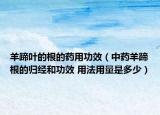 羊蹄叶的根的药用功效（中药羊蹄根的归经和功效 用法用量是多少）