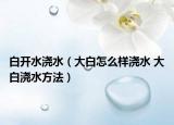 白开水浇水（大白怎么样浇水 大白浇水方法）