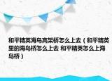 和平精英海岛高架桥怎么上去（和平精英里的海岛桥怎么上去 和平精英怎么上海岛桥）