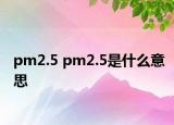 pm2.5 pm2.5是什么意思