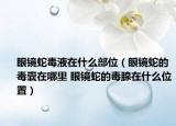 眼镜蛇毒液在什么部位（眼镜蛇的毒囊在哪里 眼镜蛇的毒腺在什么位置）