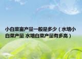 小白菜亩产量一般是多少（水培小白菜产量 水培白菜产量有多高）