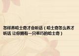 怎样养哈士奇才会听话（哈士奇怎么养才听话 让你拥有一只乖巧的哈士奇）