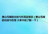 黄山毛峰的功效与作用及禁忌（黄山毛峰的功效与作用 大家不妨了解一下）