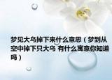 梦见大鸟掉下来什么意思（梦到从空中掉下只大鸟 有什么寓意你知道吗）