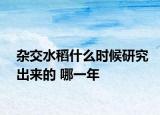 杂交水稻什么时候研究出来的 哪一年
