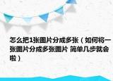 怎么把1张图片分成多张（如何将一张图片分成多张图片 简单几步就会啦）