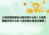王者荣耀里面的小精灵有什么用（王者荣耀精灵有什么用 王者荣耀小精灵在哪里）