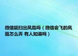 微信能扫出凤凰吗（微信会飞的凤凰怎么弄 有人知道吗）