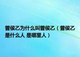 曾侯乙为什么叫曾侯乙（曾侯乙是什么人 是哪里人）