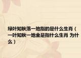 绿叶知秋落一地指的是什么生肖（一叶知秋一地金是指什么生肖 为什么）
