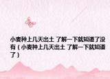 小麦种上几天出土 了解一下就知道了没有（小麦种上几天出土 了解一下就知道了）