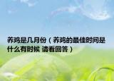养鸡是几月份（养鸡的最佳时间是什么有时候 请看回答）