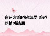 在远方路晓鸥结局 路晓鸥情感结局