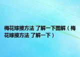 梅花嫁接方法 了解一下图解（梅花嫁接方法 了解一下）