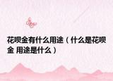 花呗金有什么用途（什么是花呗金 用途是什么）