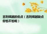 吉利缤越的优点（吉利缤越缺点 你怕不怕呢）